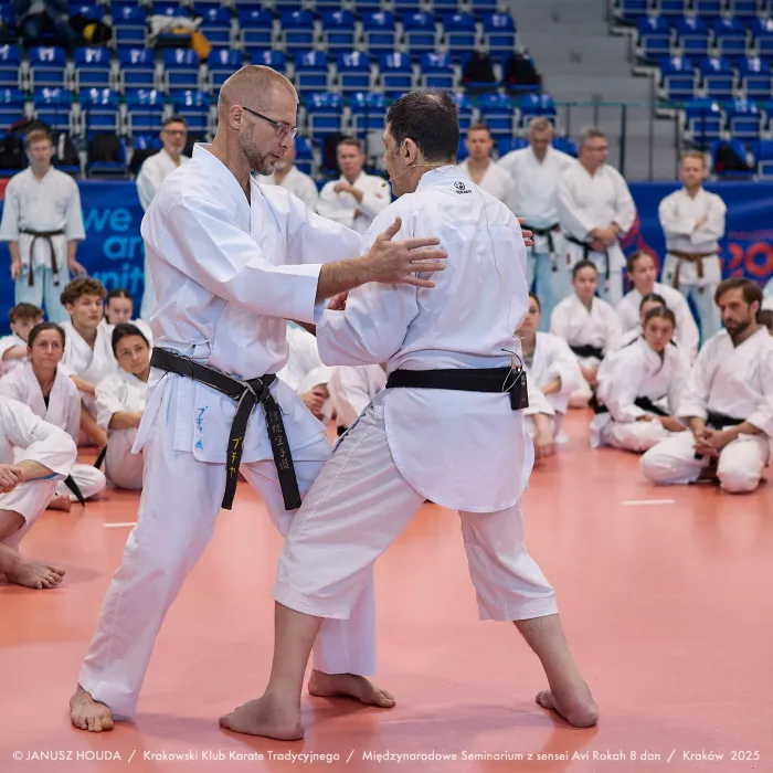 Seminarium z Sensei Avi Rokah - Kraków 2025
